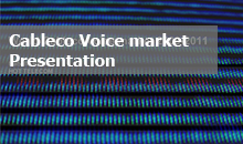 Cableco Voice Market